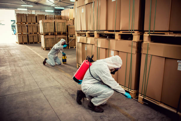 Best Pest Prevention Services  in Winfield, WV