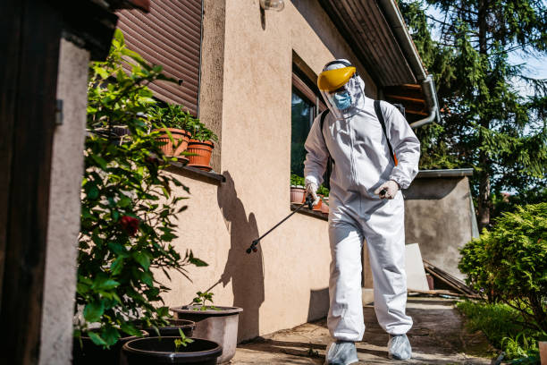 Best Residential Pest Control  in Winfield, WV