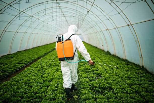 Best Affordable Pest Control Services  in Winfield, WV
