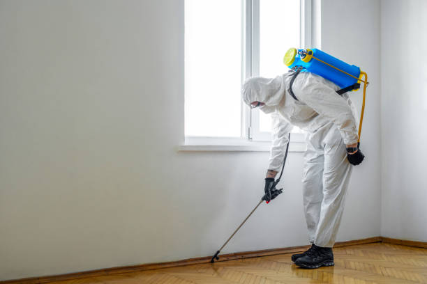 Flea Control Services in Winfield, WV