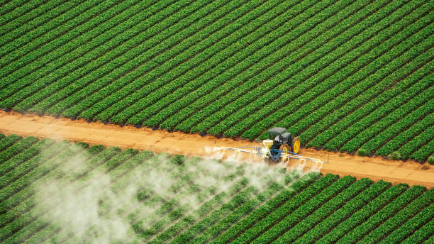Professional Pest Control in Winfield, WV