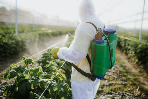 Best Pest Control Treatment  in Winfield, WV
